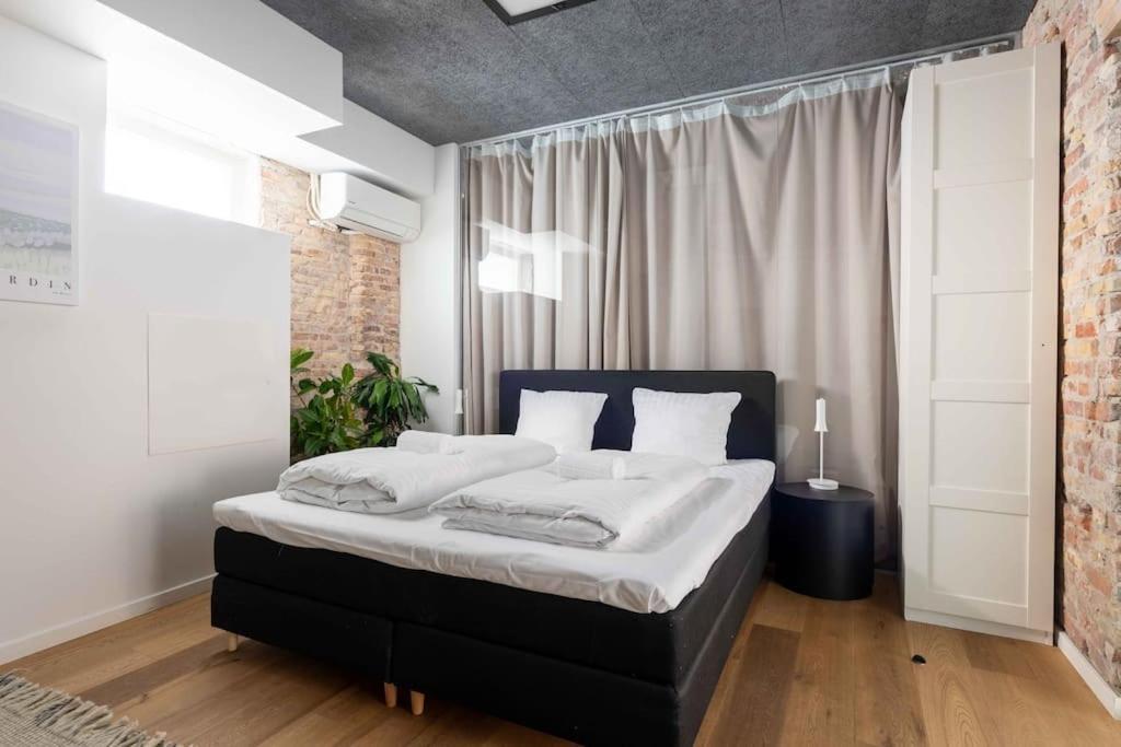 Leilighet Spacious Double-flat For 10 In Cph Center København