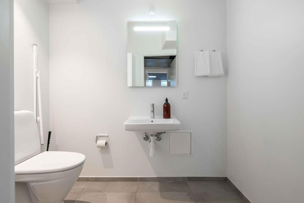 Spacious Double-flat For 10 In Cph Center København